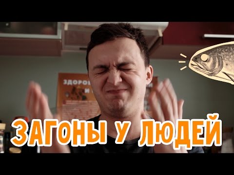 Видео: О чем обычно загоняются люди ?