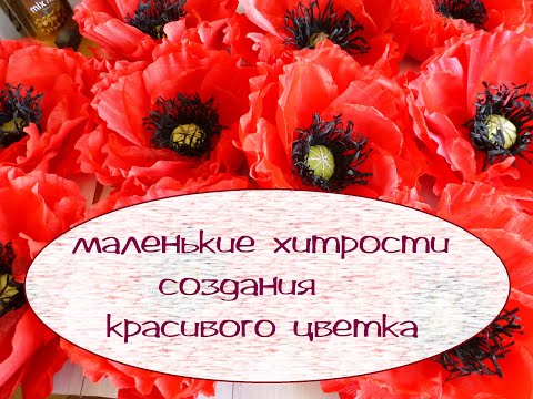 Видео: Особенности сборки красивого мака. Мак настенный. Гофрированная бумага и органза