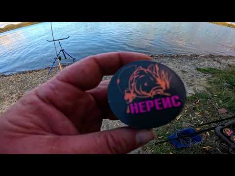 Видео: Рыбалка на Реке с Ночёвкой 