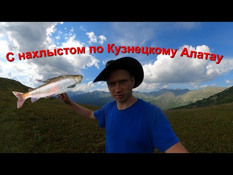 Видео: Осенний поход по нехоженным местам Кузнецкого Алатау|Ловля нахлыстом трофейного хариуса ч.1
