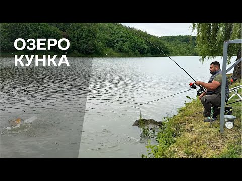 Видео: Карп фішинг на чарівному озері Кунка / Трудова риба 🐟 / Та гарний відпочинок