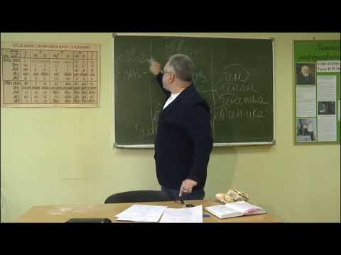 Видео: Семинар 7. Клиническая терминология.