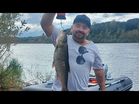 Видео: Река Белая, ещё больше рыбы. 