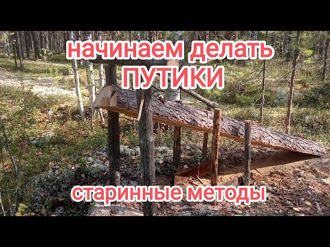 Видео: Начинаем делать путики вокруг избы. Старинный метод лова.