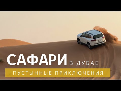 Видео: Сафари в пустыне на джипах и квадроциклах. Дубай 2025