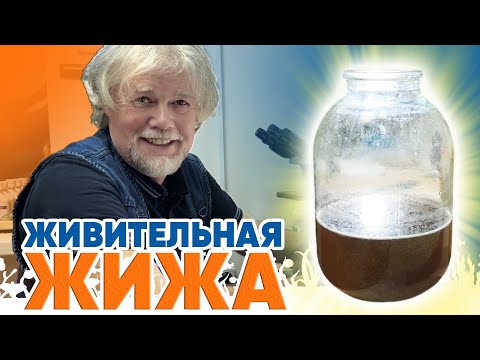 Видео: Аквариумные новости с Владимиром Ковалёвым (13.12.2024). Живительная ЖИЖА!