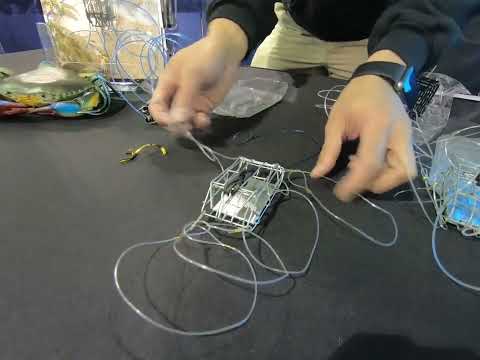 Видео: Не все ловушки для ловли крабов одинаковы: определите основные характеристики качественной ловушк...