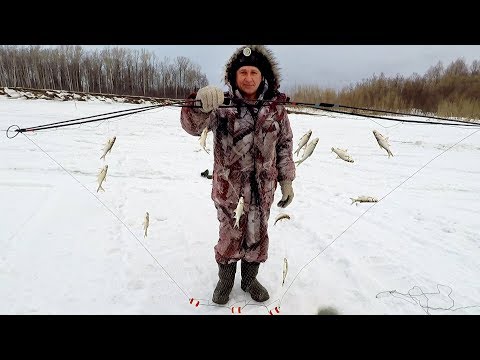 Видео: Рыбалка на Оби! Ловим Живца на Косынки - Отличный Улов!