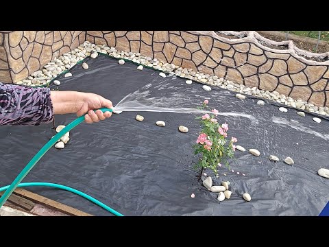 Видео: Как  мы Сеели Газон  для участка  зона  Отдыха