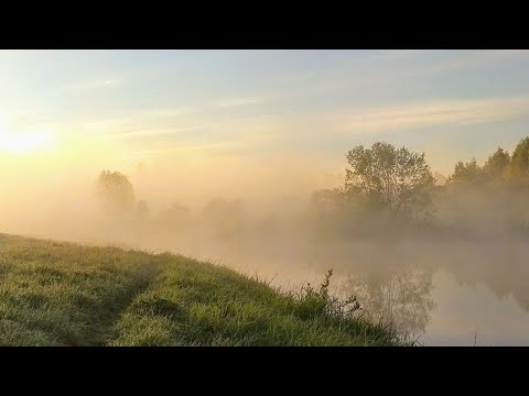 Видео: песни которые стоит послушать утром • Утренние песни • песни с вайбом утра• спокойные песни •morning