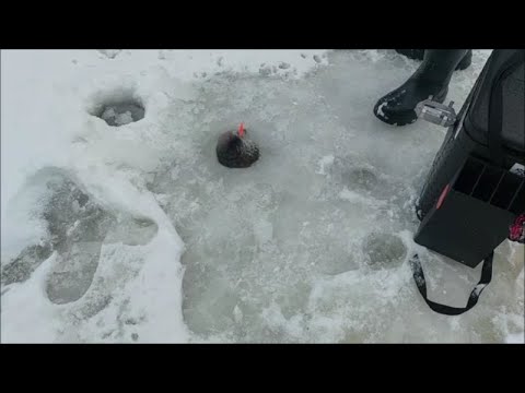 Видео: На запуске работают блёсны с розово/оранжевыми тонами. Клёвое место, Лосиный остров, верхний водоём.