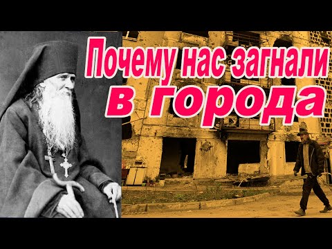 Видео: Почему нас загнали в города