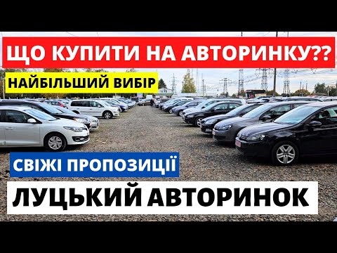 Видео: ЛУЦЬКИЙ АВТОРИНОК / СВІЖІ ПРОПОЗИЦІЇ // 31.10.2024р #автобазар  #автопідбірлуцьк #автопідбірлуцьк