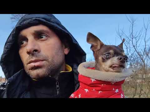 Видео: Мое приобретение, Дымка нас кормит, Привезли мой наболевший мазоль.