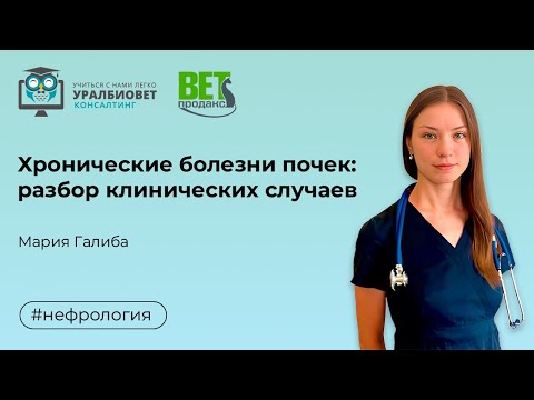 Видео: Хронические болезни почек: разбор клинических случаев. Лектор Мария Галиба