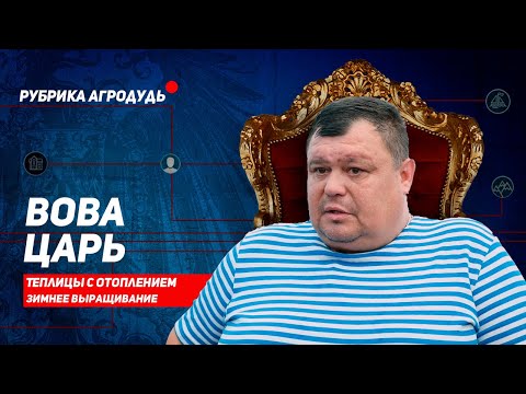 Видео: Вова-Царь. Поменял такси на теплицы с отоплением. Зимнее выращивание на Кубани.