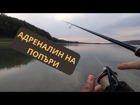 Видео: ЕХ ТЕЗИ ПОПЪРИ
