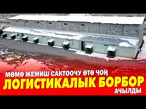 Видео: Мынаке! Мѳмѳ ЖЕМИШТЕРДИ жана ТОҢДУРУЛГАН азык-түлүктѳрдү сктоочу ЛОГИСТИКАЛЫК борбор АЧЫЛДЫ
