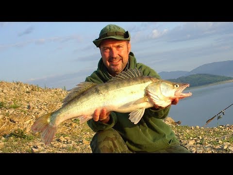 Видео: За Бяла риба след забраната 2019/филма/