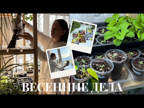 Видео: ВЕСЕННИЕ ДЕЛА 🧺 уборка на кухне 🫧 🧹рассада цветов и комнатных овощей 🪴