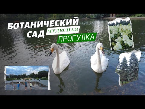 Видео: Чудесное преображение Алматинского Ботанического сада.