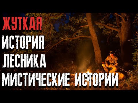 Видео: Рассказ лесника мистические истории в сибирской тайге и деревне. Мистические страшные истории.