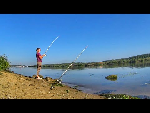 Видео: эта НАСАДКА нравится ЛЕЩУ РЫБАЛКА на ДОНКИ Ловлю на Волге Russian fishing