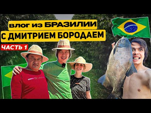 Видео: Влог из Бразилии с Дмитрием Бородаем | Ферма Ягуара | Незабываемая рыбалка в Бразилии