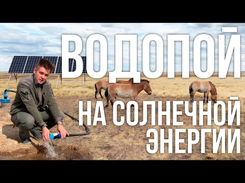 Видео: Солнечные насосы! Построили инновационные водопои на солнечных батареях в Заповедниках Оренбуржья.