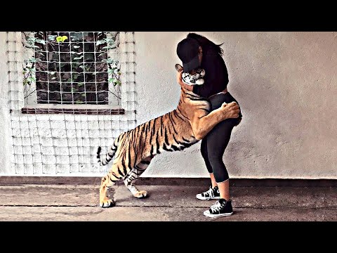 Видео: Попробуй НЕ ЗАПЛАКАТЬ! 😥 Топ 20 Моментов Встречи Животных с Хозяевами После Долгих Лет Разлуки №6