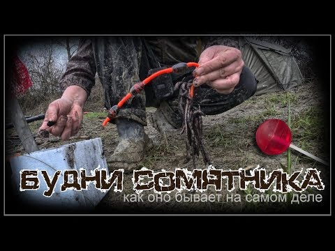 Видео: Будни сомятника - Вся правда о рыбалке на сома