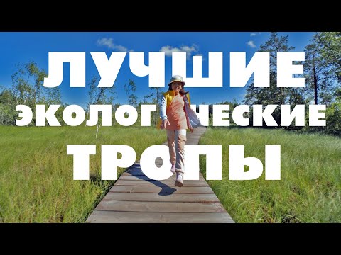 Видео: ЛУЧШИЕ ЭКО ТРОПЫ ЛЕНИНГРАДСКОЙ ОБЛАСТИ😀👍