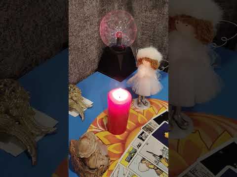 Видео: О чём ВЫСШИЕ СИЛЫ хотят вас предупредить ⁉️💥🥊🤗☀️