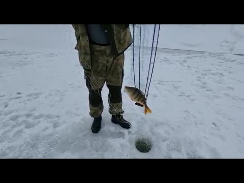 Видео: Рыбалка на хапуги с Кумом