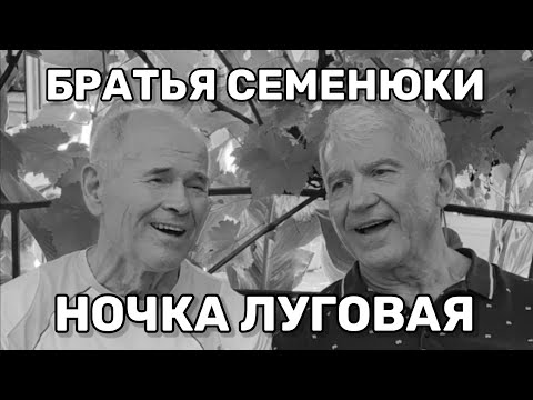 Видео: Божественная русская песня дуэтом в исполнении «А капелла»  (БРАТЬЯ СЕМЕНЮКИ - НОЧКА ЛУГОВАЯ)