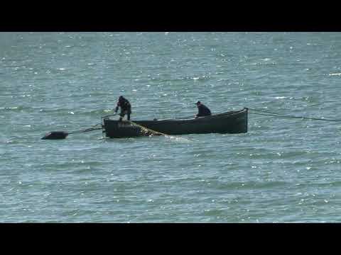 Видео: Рыбаки ловят барабулю в Сочи 