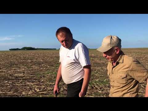 Видео: Для чего я занялся No-till | Виктор Олефир