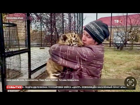 Видео: Прощай, наш солнечный человек, прощай ДУША ТАЙГАНА!