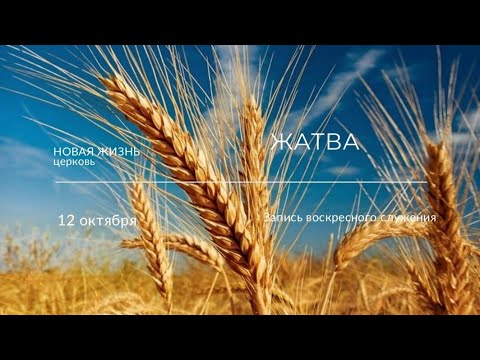Видео: 12.10.25 | Праздник Жатва | Артур Пучинский