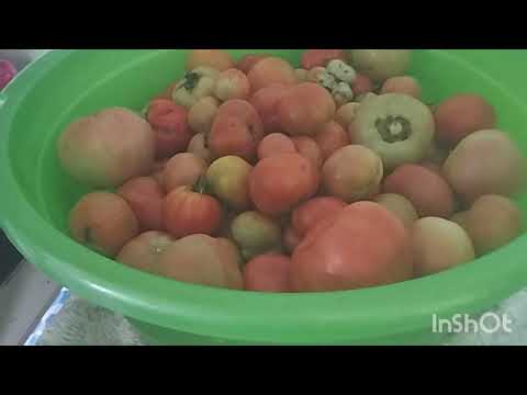 Видео: обед за полчаса. рецепт из СССР и почему у меня нет времени на постановочные видео. мой день.