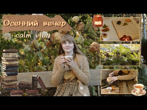 Видео: 🍁CALM AUTUMN VLOG | спокойный осенний вечер 🍂☕