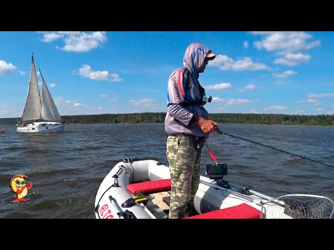 Видео: РЫБАЛКА на СУДАКА в сильный ветер! Кастинг-комплект снова в деле!