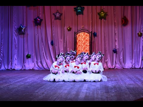 Видео: Кошка беспородная