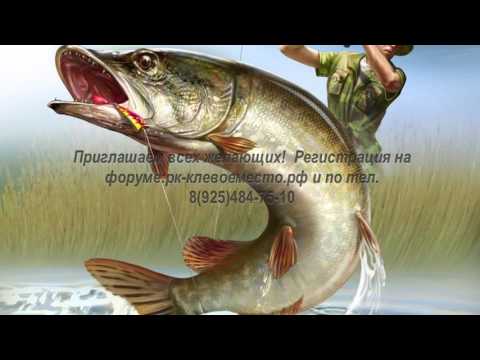 Видео: Клевые обзоры № 12 Воблеры Bat