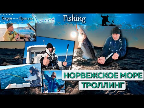 Видео: Морская Рыбалка в Норвегии, Троллинг, Мольва, пикша