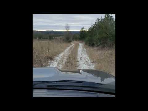 Видео: С проверкой на лесную пасеку....