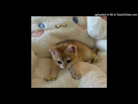 Видео: Джизус - Рай или Ад ♡ speed up ♡