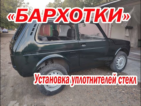 Видео: Бархотки на Ниву