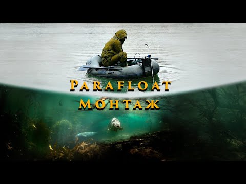 Видео: Рыбалка на Карпа | Ключ к Успеху в Корягах!