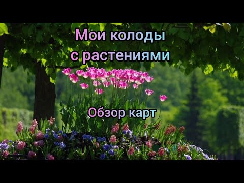 Видео: Обзор колод, посвященный тематике деревьев 🌳🌲 и цветов 🌺🪷 Исцеляющая магия растений